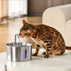 Fontanella da 2,2 l - gatto che beve accanto alla fontanella su un tavolo