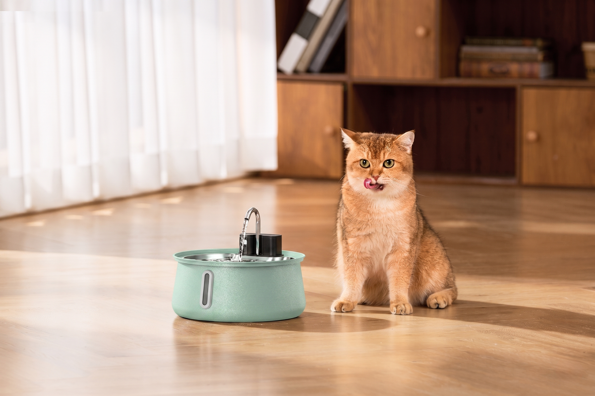Fontanella senza fili - gatto accanto alla fontanella verde menta