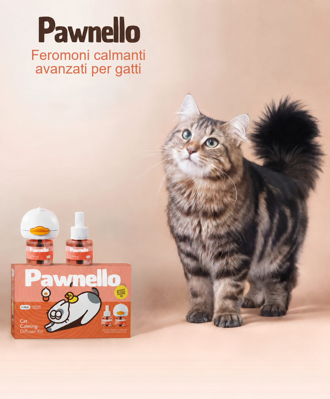 Non Dare il Tuo Gatto a un'Altra Famiglia