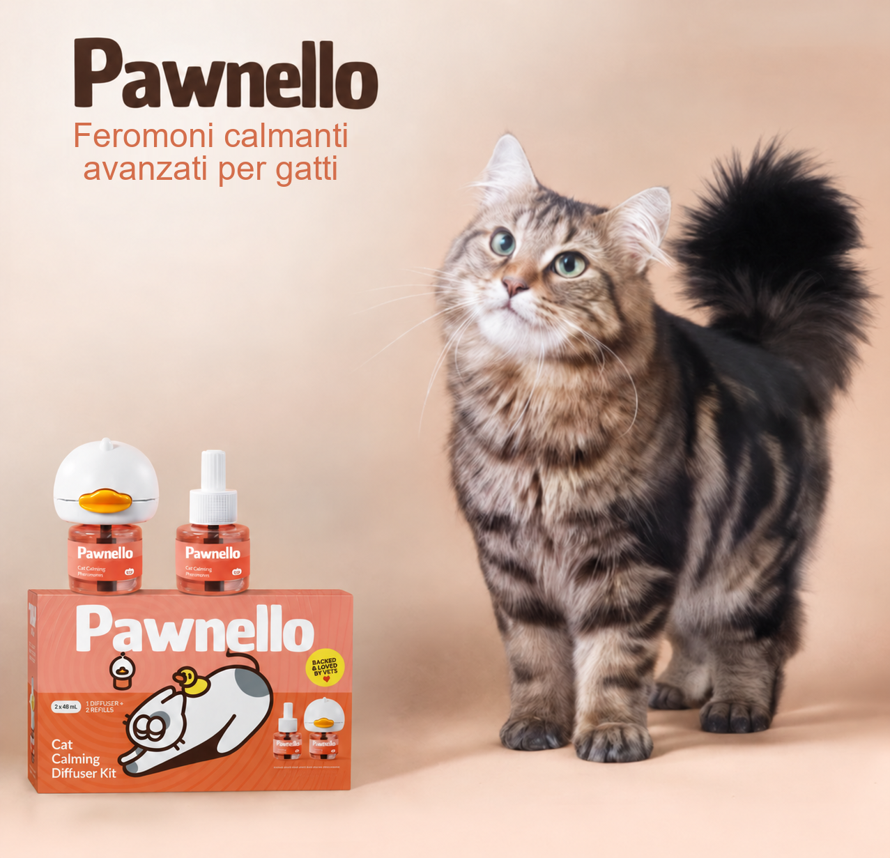 Non Dare il Tuo Gatto a un'Altra Famiglia